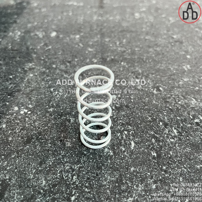 JSAV 40 Series Spring 280-500mbar (4)